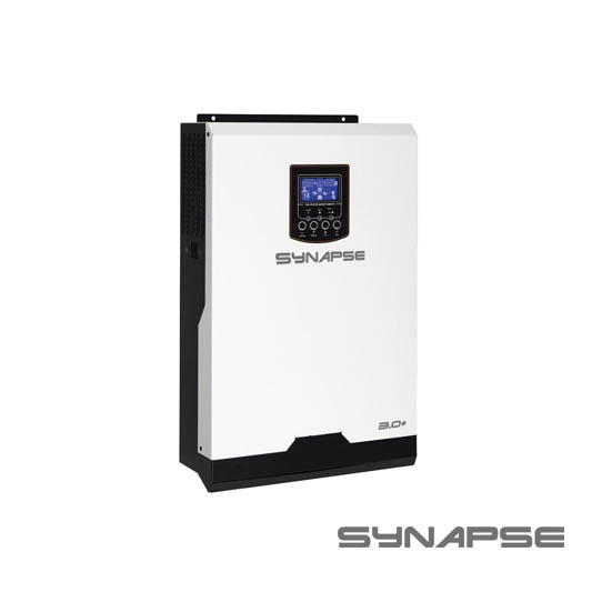 synapse